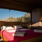 Kamp alanı Elizabeth