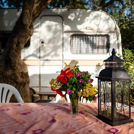 Кемпінг Elizabeth 2*