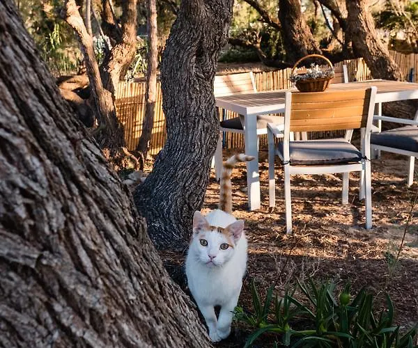 Camping Elizabeth Ретимно