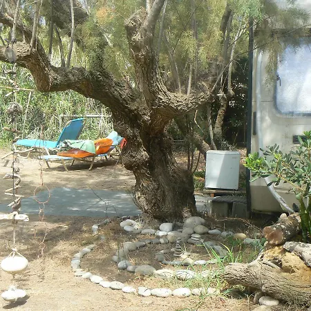 Elizabeth Camping